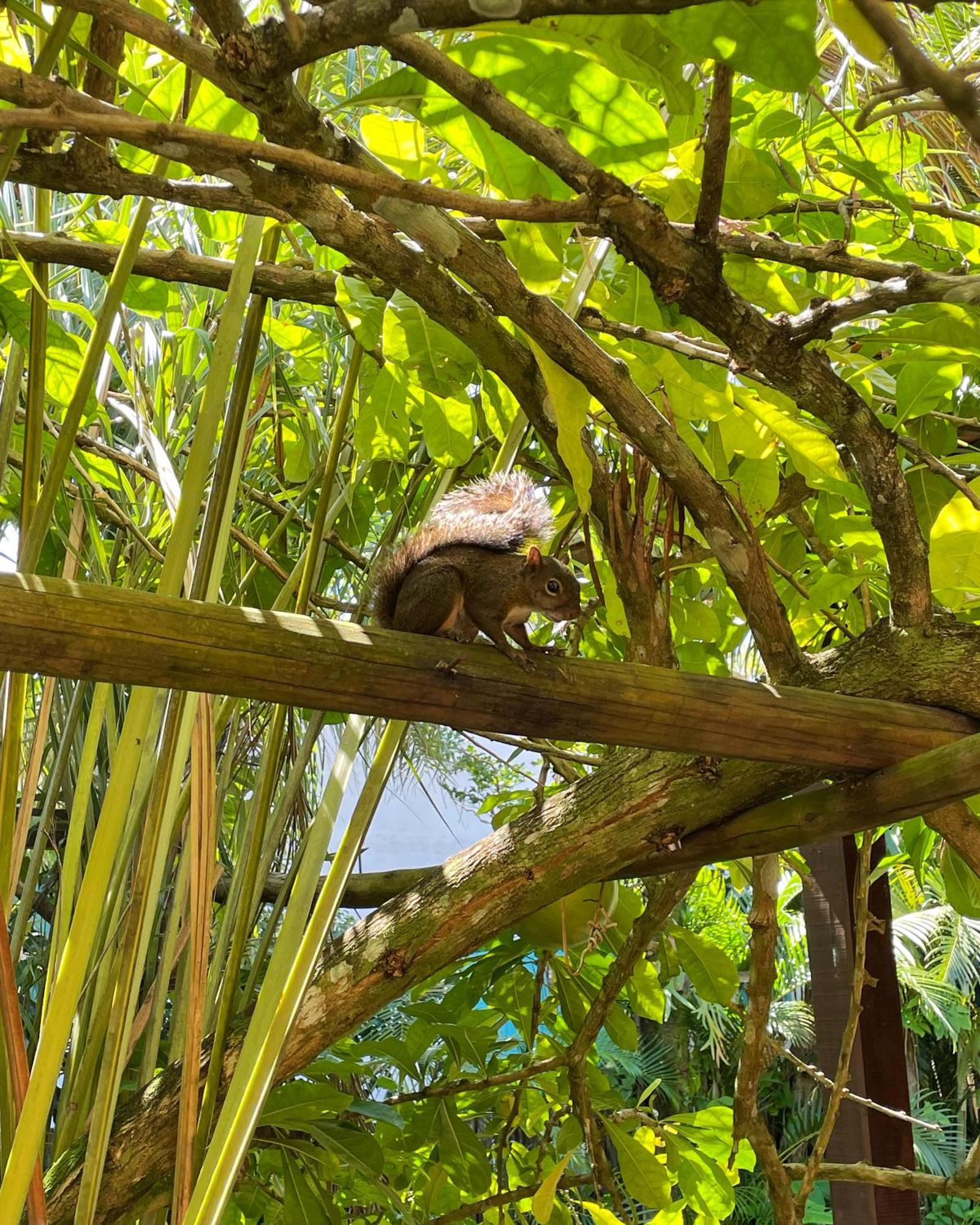 Pousada Jambrero Caraíva Exteriér fotografie